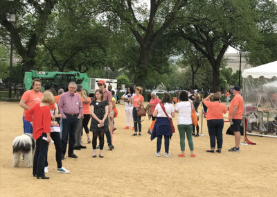 Photo from the 2018 March For Moms